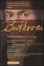 In Search of Beethoven